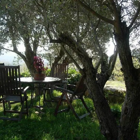 Casa El Rey Gospodarstwo wiejskie Murillo de Gállego